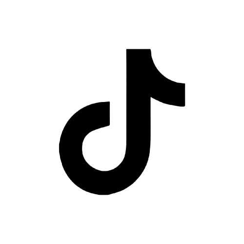 TikTok Icon